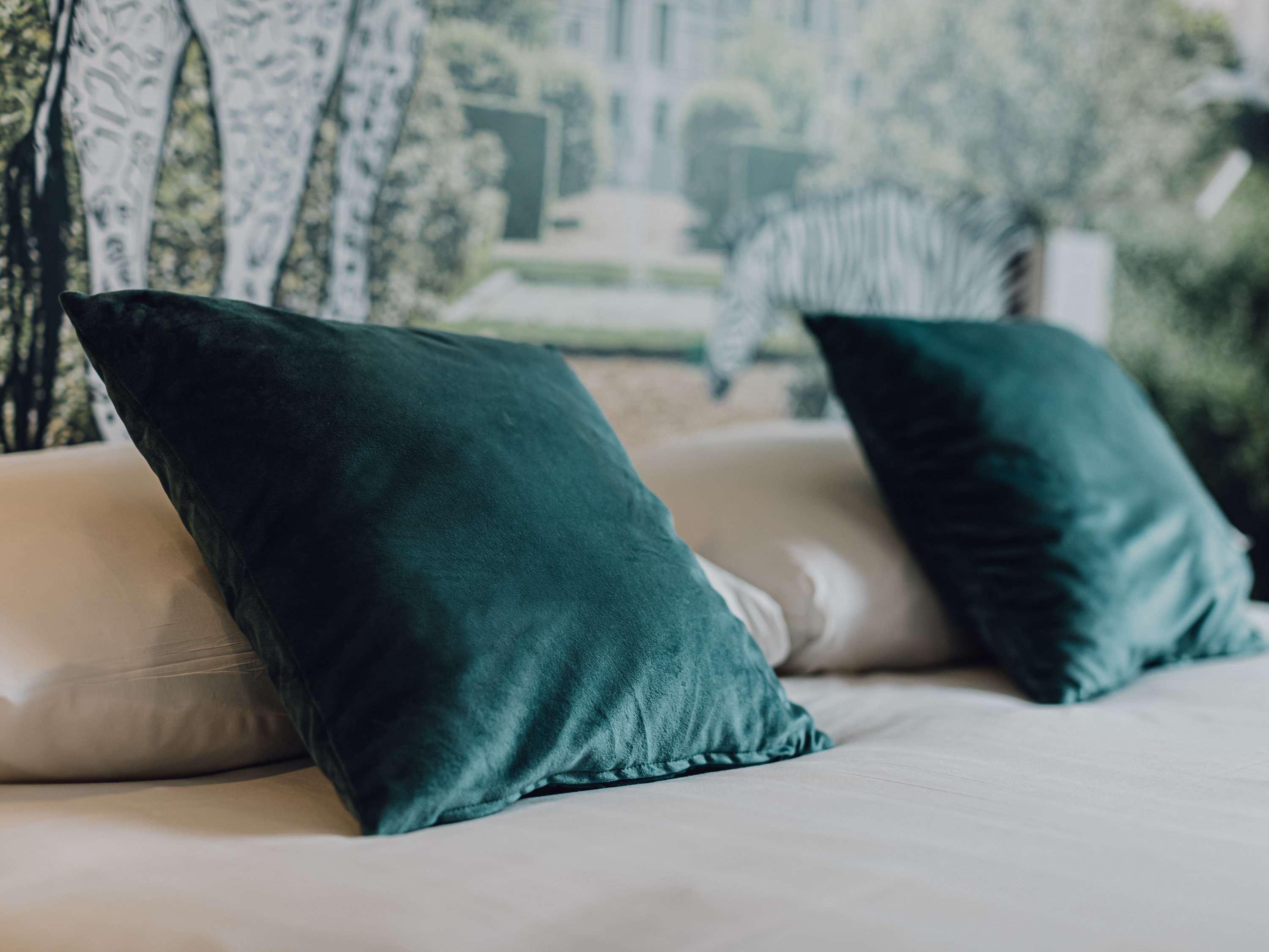 Hotel Ibis Styles Contres-cheverny